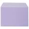 JAM Paper 5.063" x 7.188" Cello Sleeves with Self Adhesive Closures, 100ct.